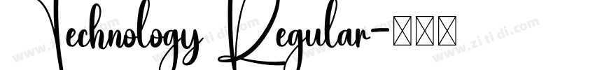 Technology Regular字体转换